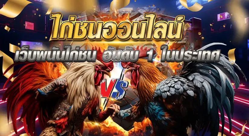 ไก่ชนออนไลน์ เว็บพนันไก่ชน อันดับ 1 ในประเทศ